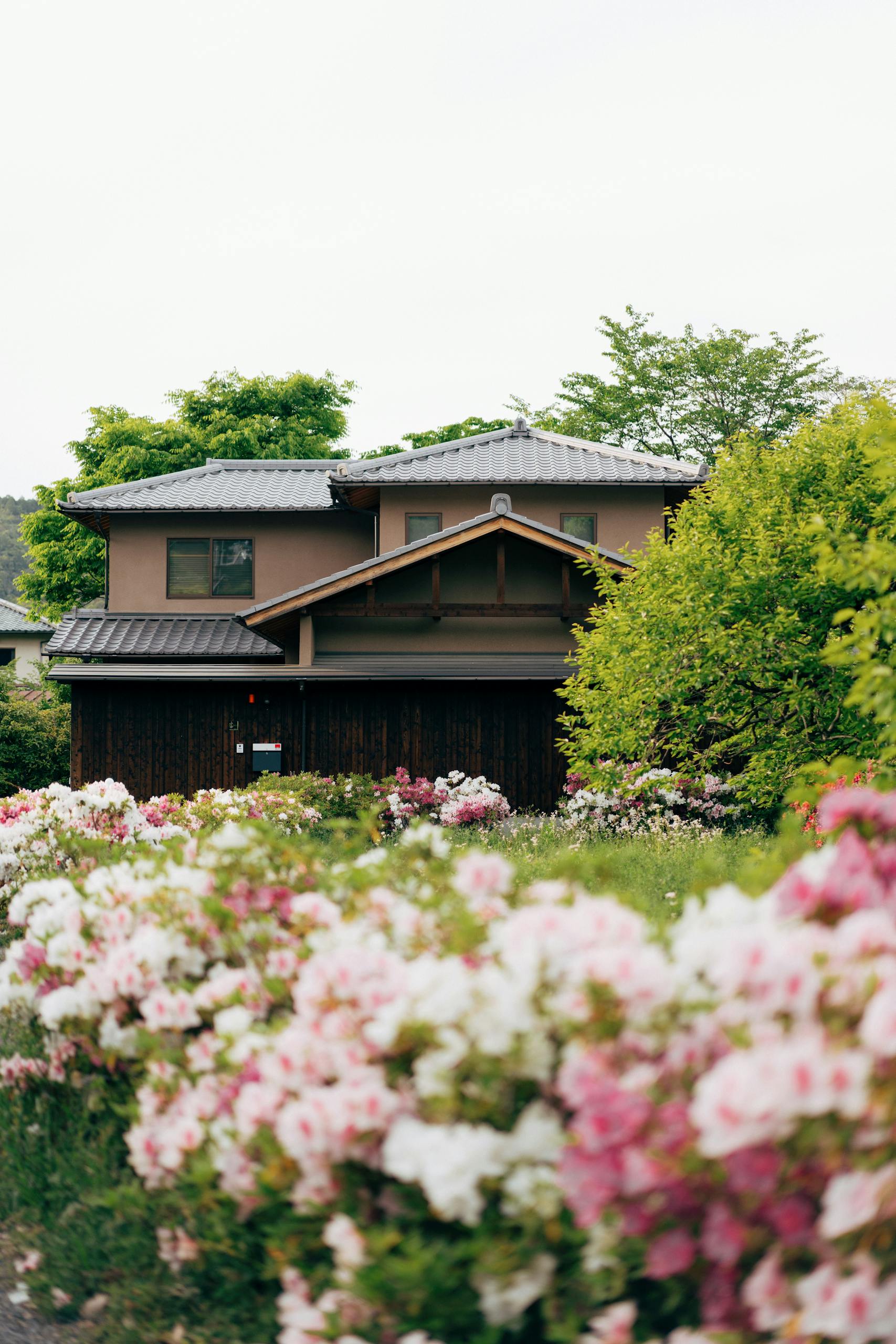 A serene view of a traditional Japanese house surrounded by colorful spring blooms.