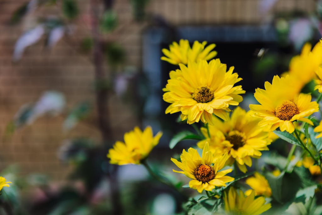 Bright yellow false sunflowers blooming in a garden setting, capturing summer's essence.